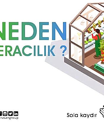 neden-seracilik