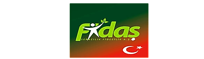 FİDAŞ FİDE