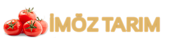 İMÖZ TARIM