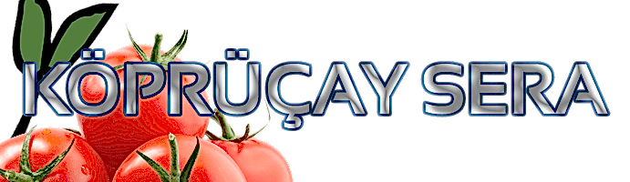 KÖPRÜÇAY SERA