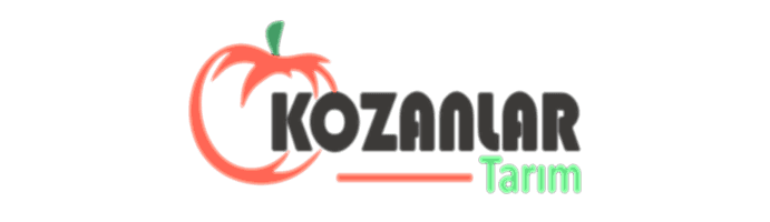 KOZANLAR GROUP