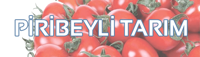 PİRİBEYLİ TARIM
