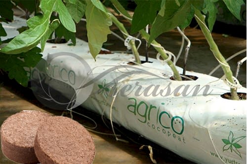 Cocopeat